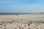 Explosief-onschadelijk-gemaakt-op-strand-Vrouwenpolder-foto-Stichting-Strandexploitatie-Veere