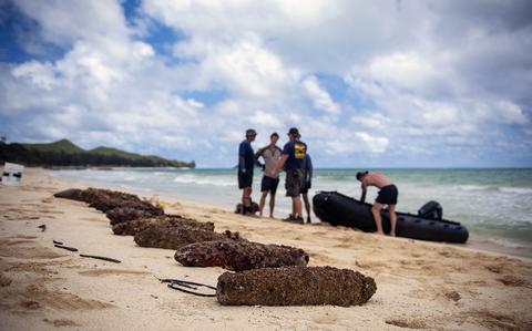 Unexploded ordnance lay on Lanikai Beach, Oahu, Ha